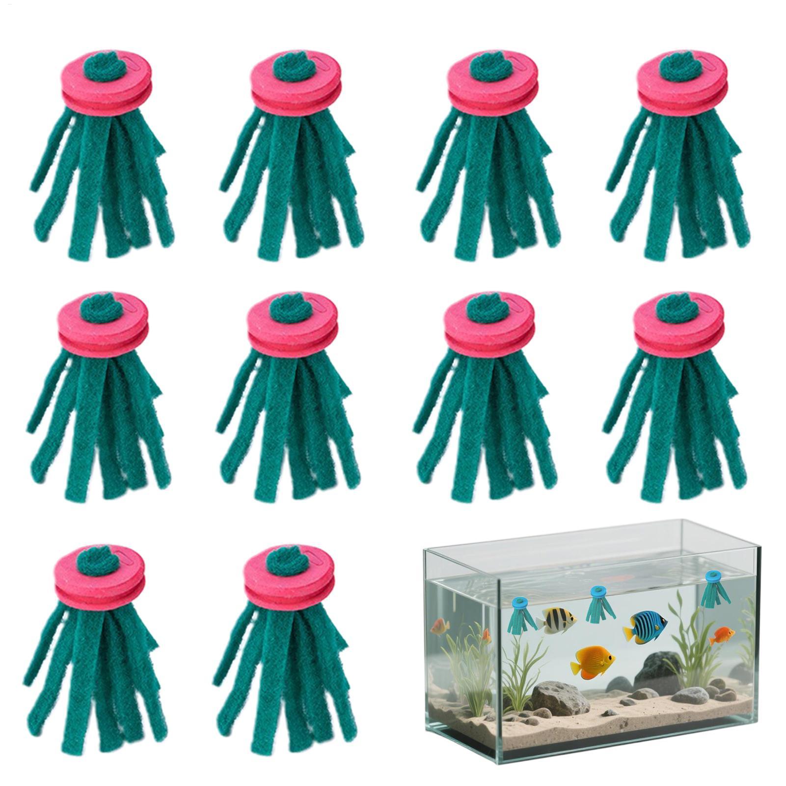 Aquarium Fish Eggs - 10 قطع من ممسحة تفريخ الأسماك