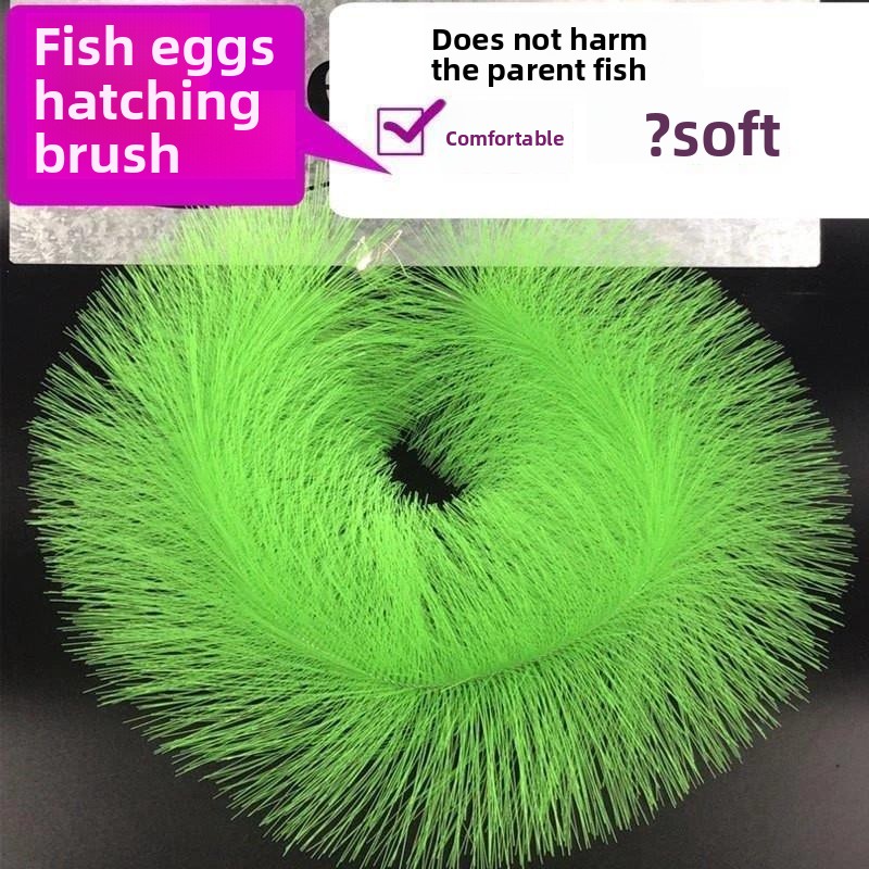 Aquarium Fish Eggs - عشب تربية أسماك الكوي لتفريخ البيض،