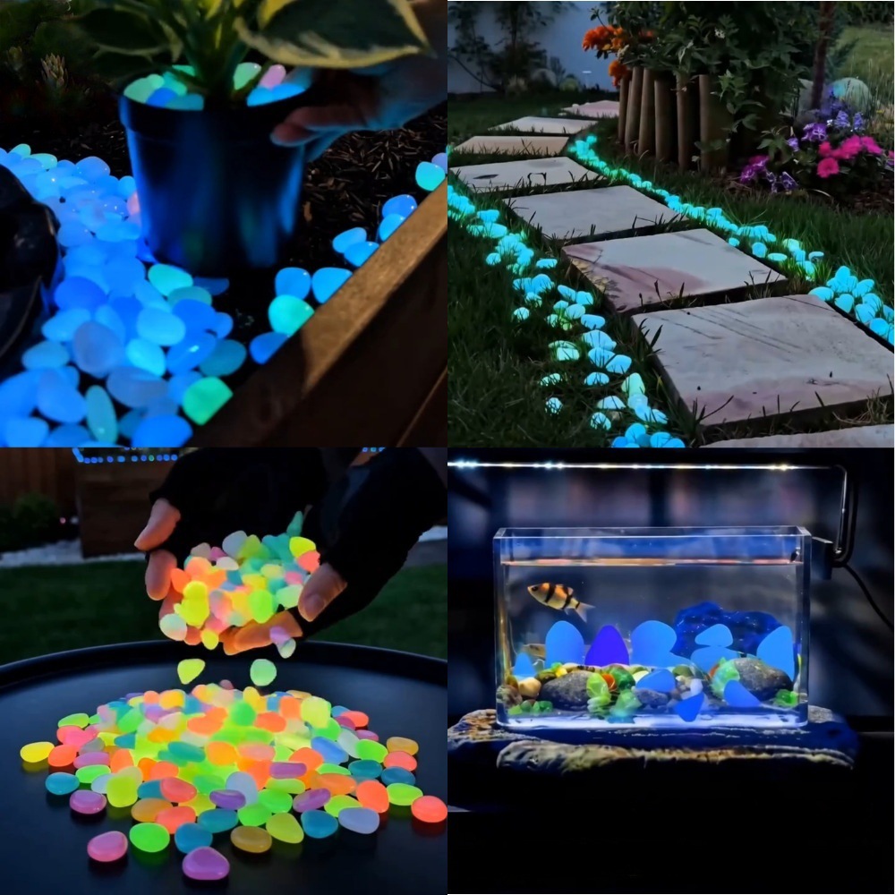Aquarium Fish Cartoon - حصى ملونة مضيئة في الظلام لتزيين