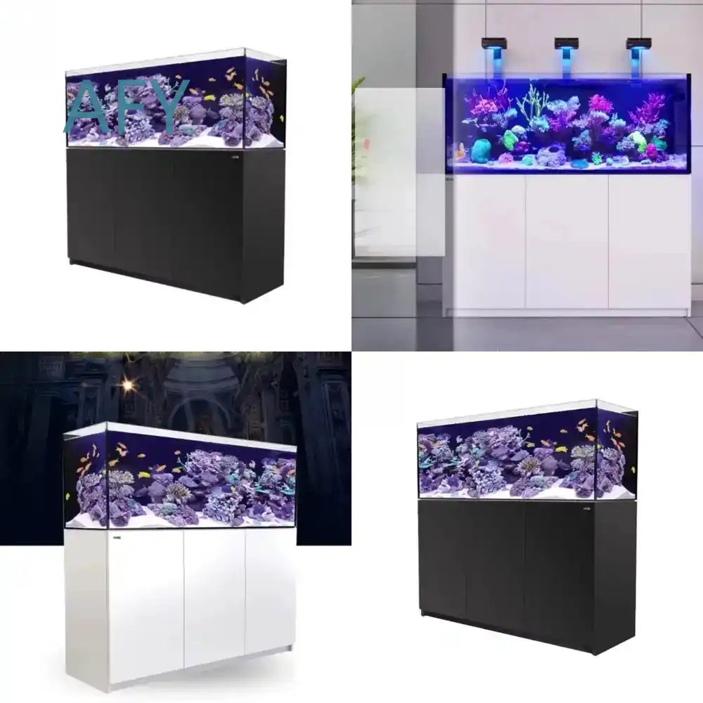 Aquarium Fish Restaurant - حوض أسماك زجاجي فاخر وحديث مبرد