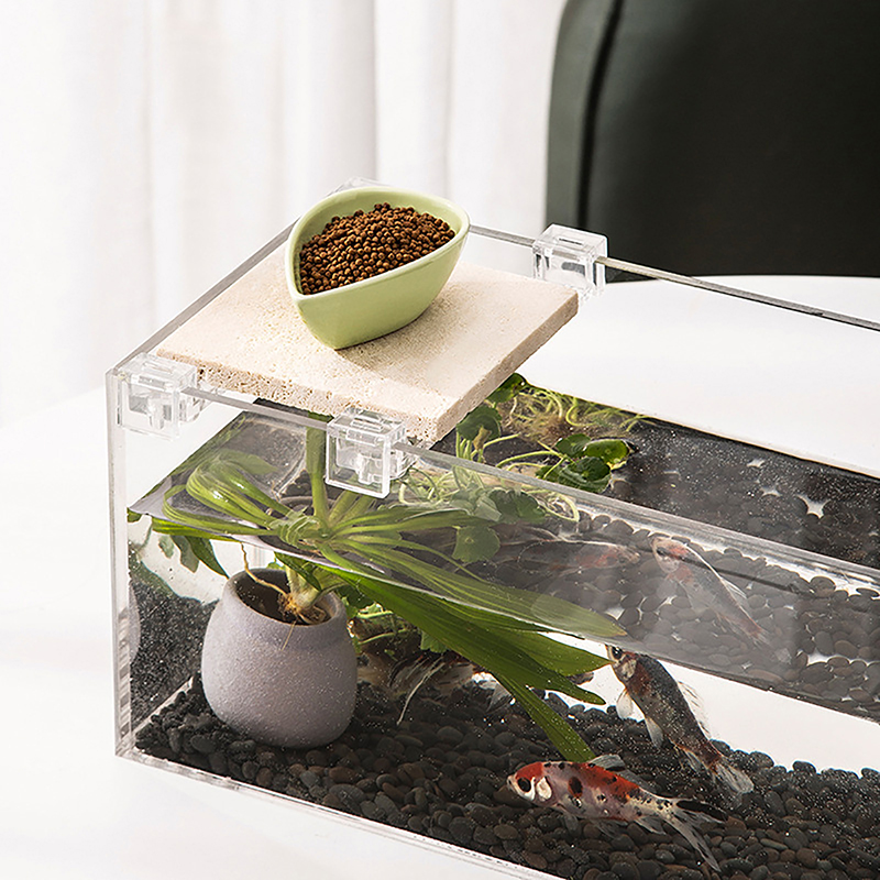 حامل غطاء حوض أسماك أكريليك ،  - مراجعة Aquarium Fish Real وسعره