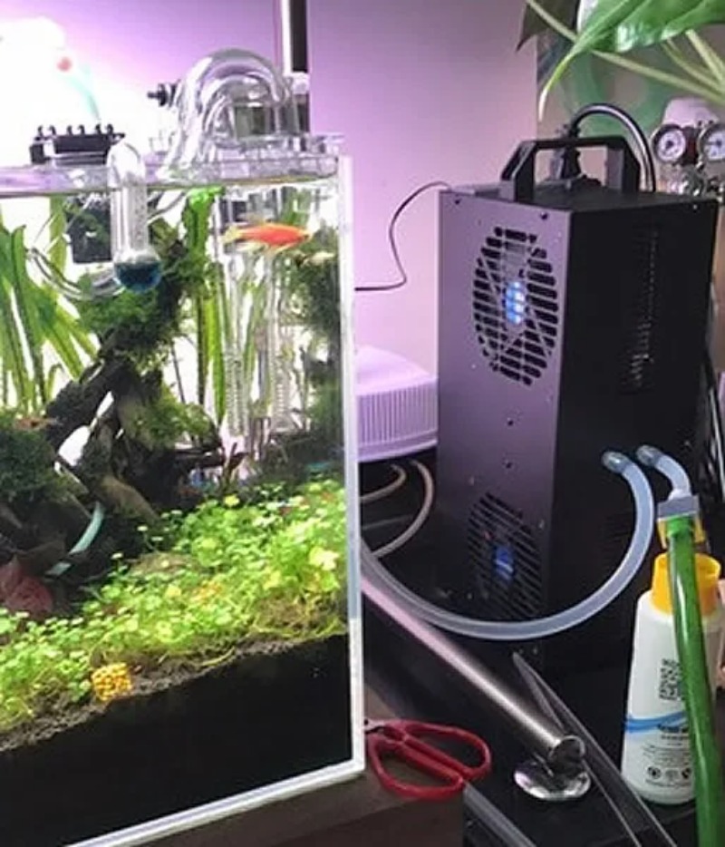 درجة حرارة ثابتة قابل للتعديل  - مراجعة Aquarium Fish Small وسعره