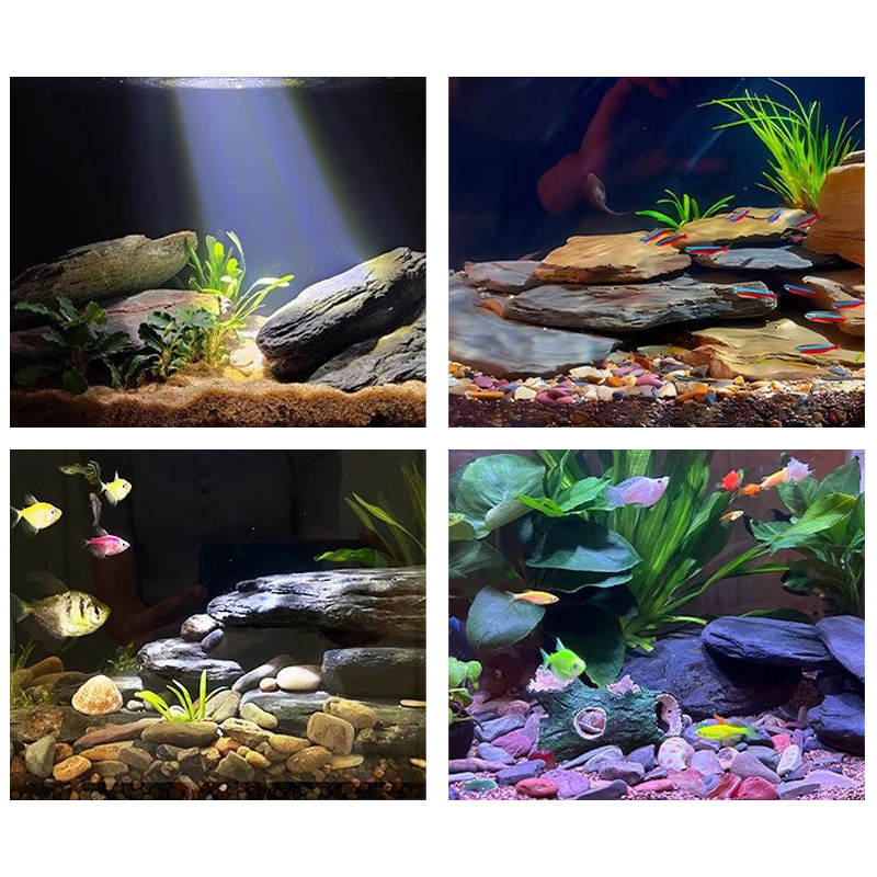 مجموعة أحجار تنسيق أحواض السمك - مراجعة Aquarium Fish Land وسعره