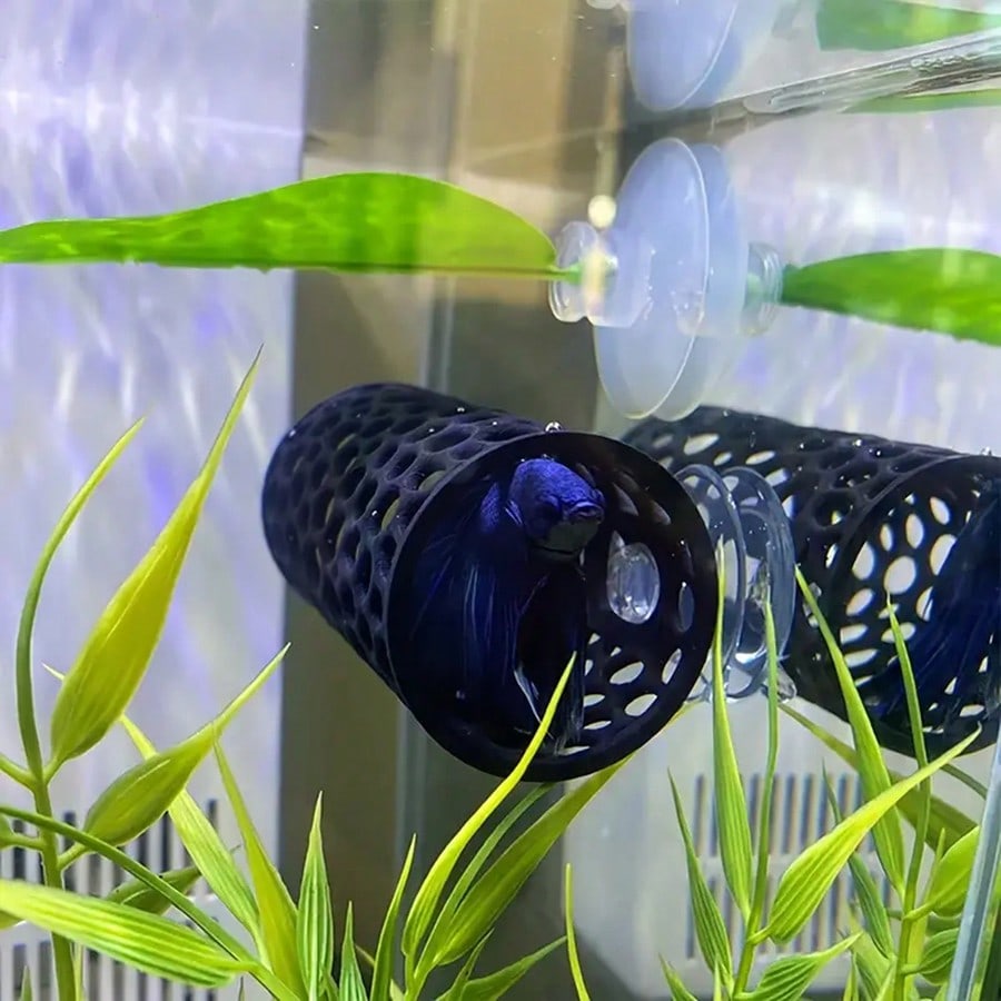 مخبأ أسماك حوض السمك أنبوب مجو - مراجعة Aquarium Fish Black وسعره