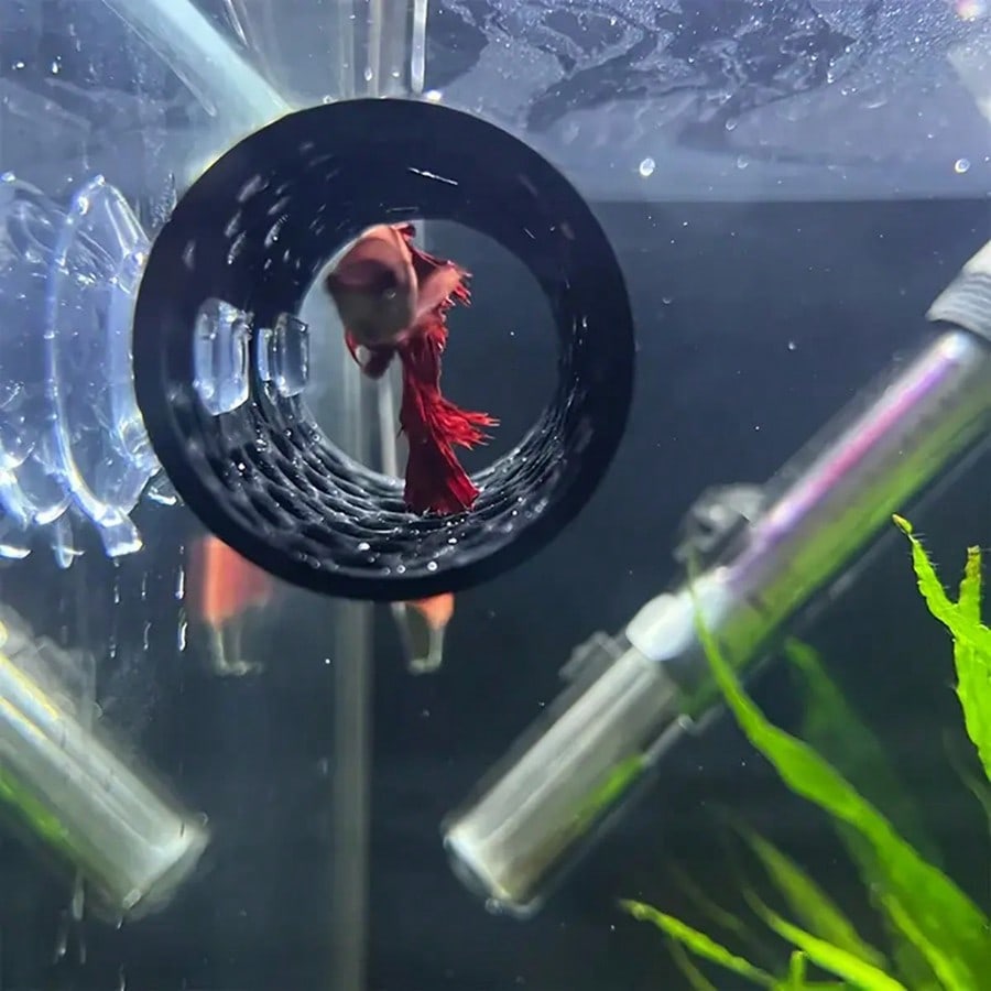 مخبأ أسماك حوض السمك أنبوب مجو - مراجعة Aquarium Fish Black وسعره