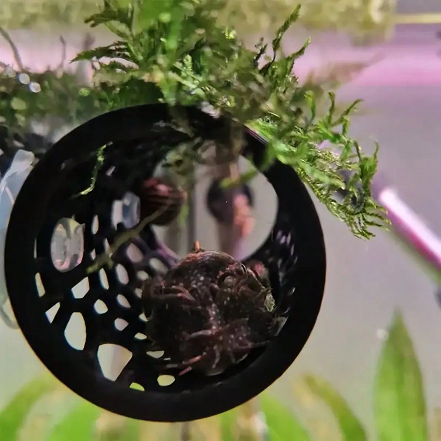 مخبأ أسماك حوض السمك أنبوب مجو - مراجعة Aquarium Fish Black وسعره