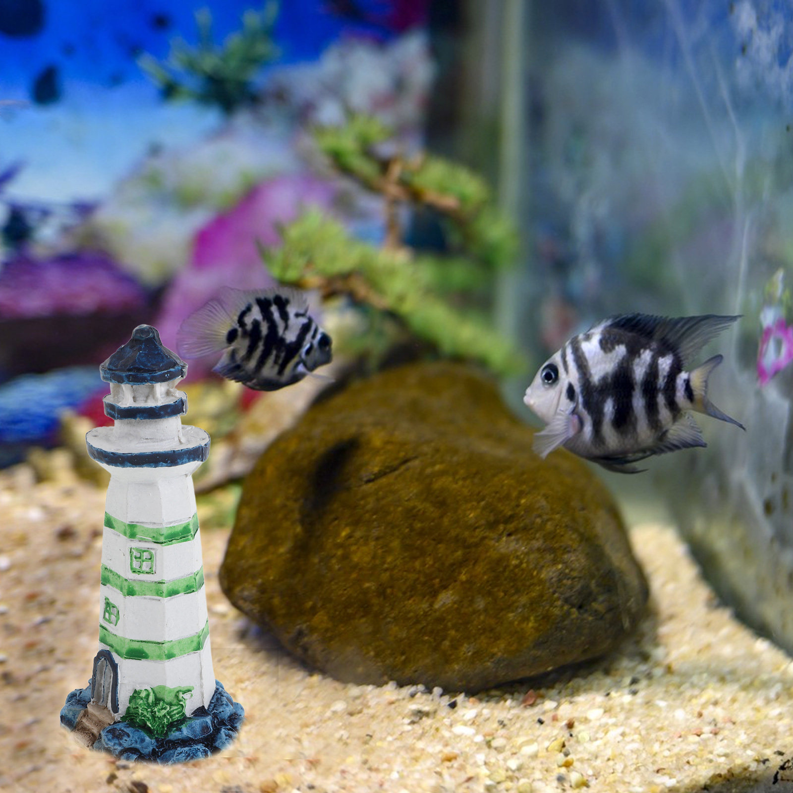 قطعة واحدة من زينة حوض السمك ع - مراجعة Aquarium Fish Restaurant وسعره