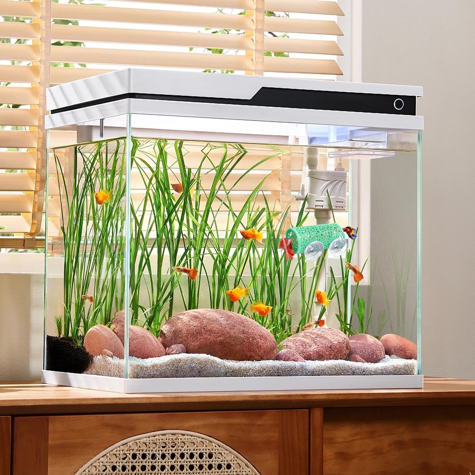 مأوى استراحة لأسماك البيتا، زي - مراجعة Aquarium Fish Small وسعره