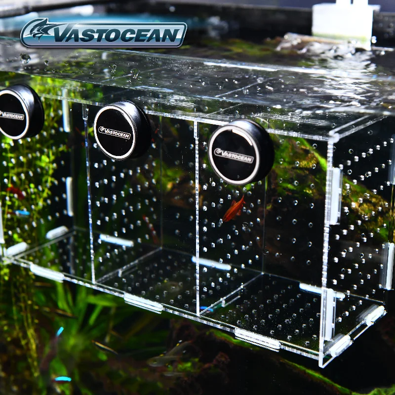 VASTOCEAN خزان الأسماك المغناط - مراجعة Aquarium Fish Real وسعره