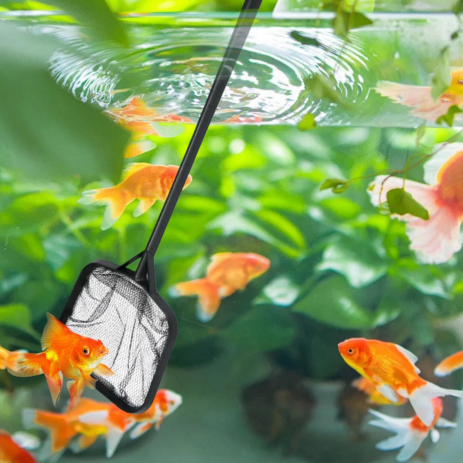 شبكات تنظيف حمامات السباحة، شب - مراجعة Aquarium Fish Accessories وسعره