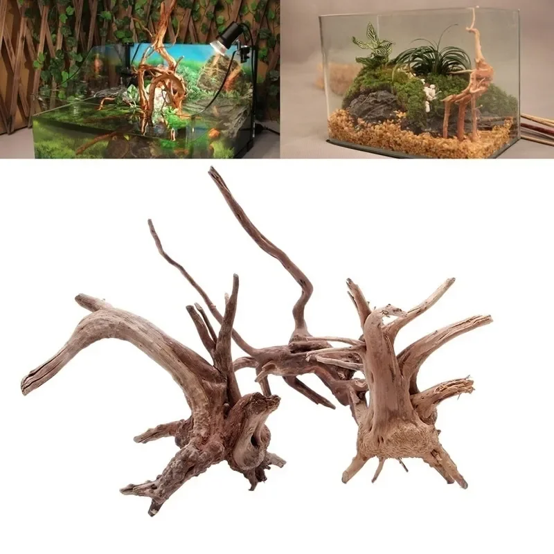 شجرة طبيعية جذع Driftwood لحوض - مراجعة Aquarium Fish Cartoon وسعره