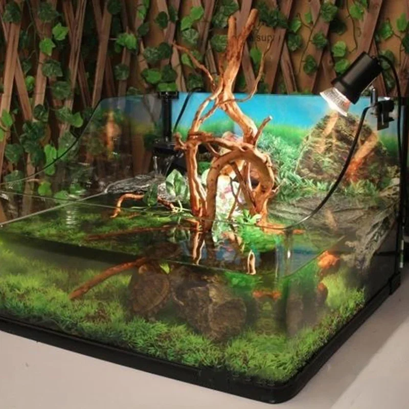 شجرة طبيعية جذع Driftwood لحوض - مراجعة Aquarium Fish Cartoon وسعره