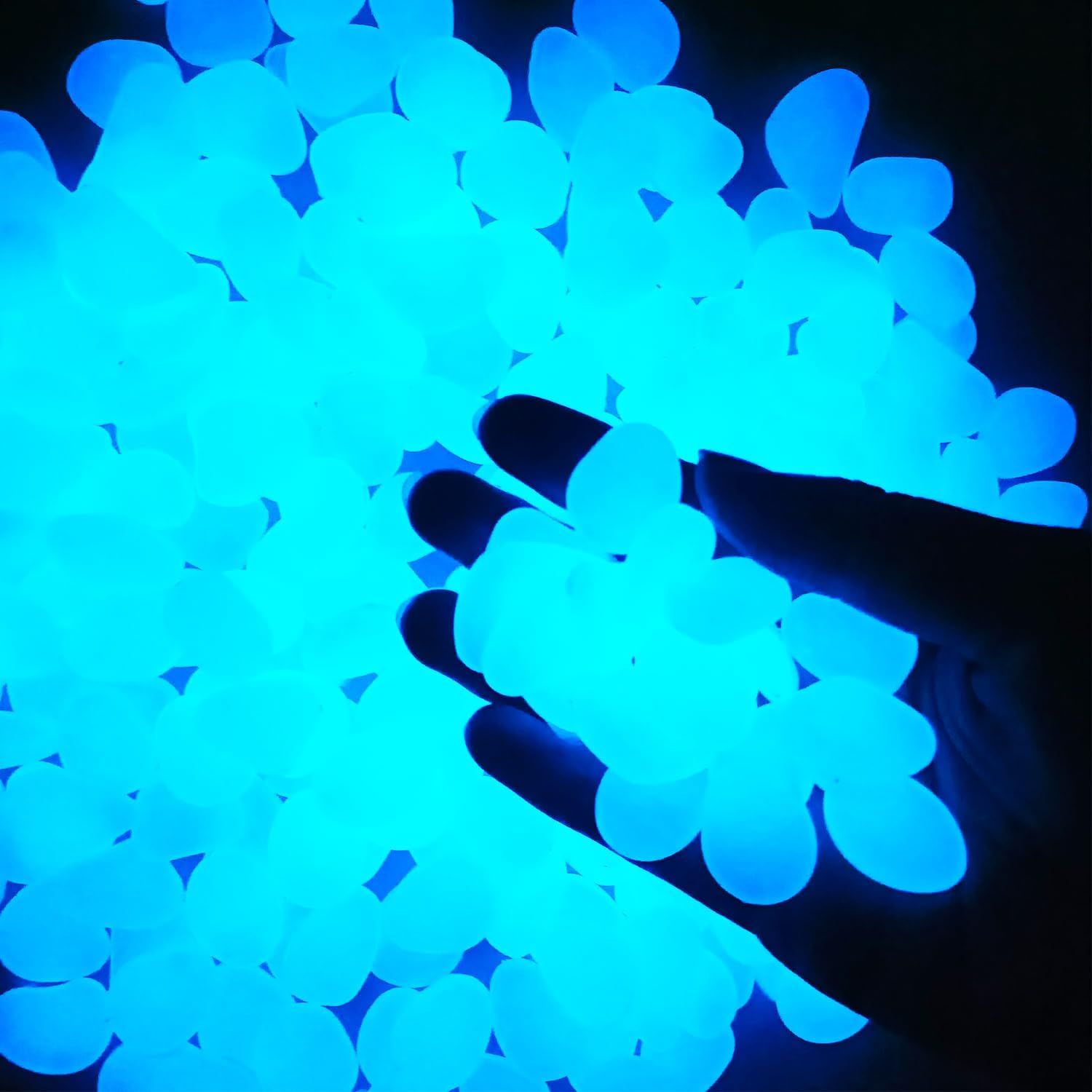 أحجار حديقة داخلية وخارجية، حو - مراجعة Aquarium Fish That Glow In The Dark وسعره