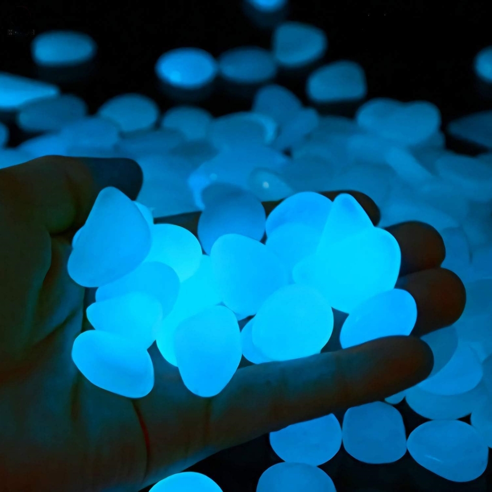 أحجار حديقة داخلية وخارجية، حو - مراجعة Aquarium Fish That Glow In The Dark وسعره