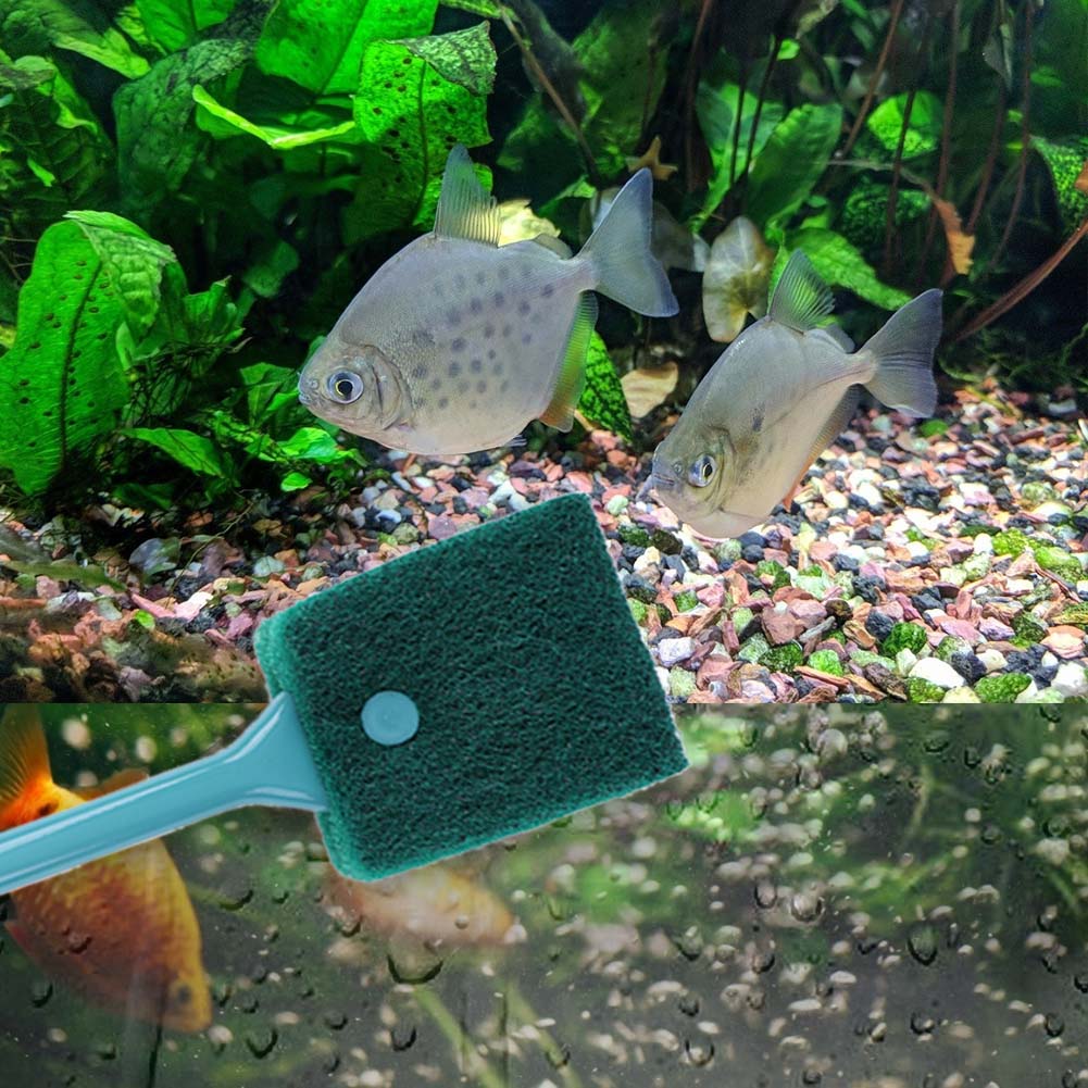 منظف إسفنجي مزدوج الجوانب لحوض - مراجعة Aquarium Fish Accessories وسعره
