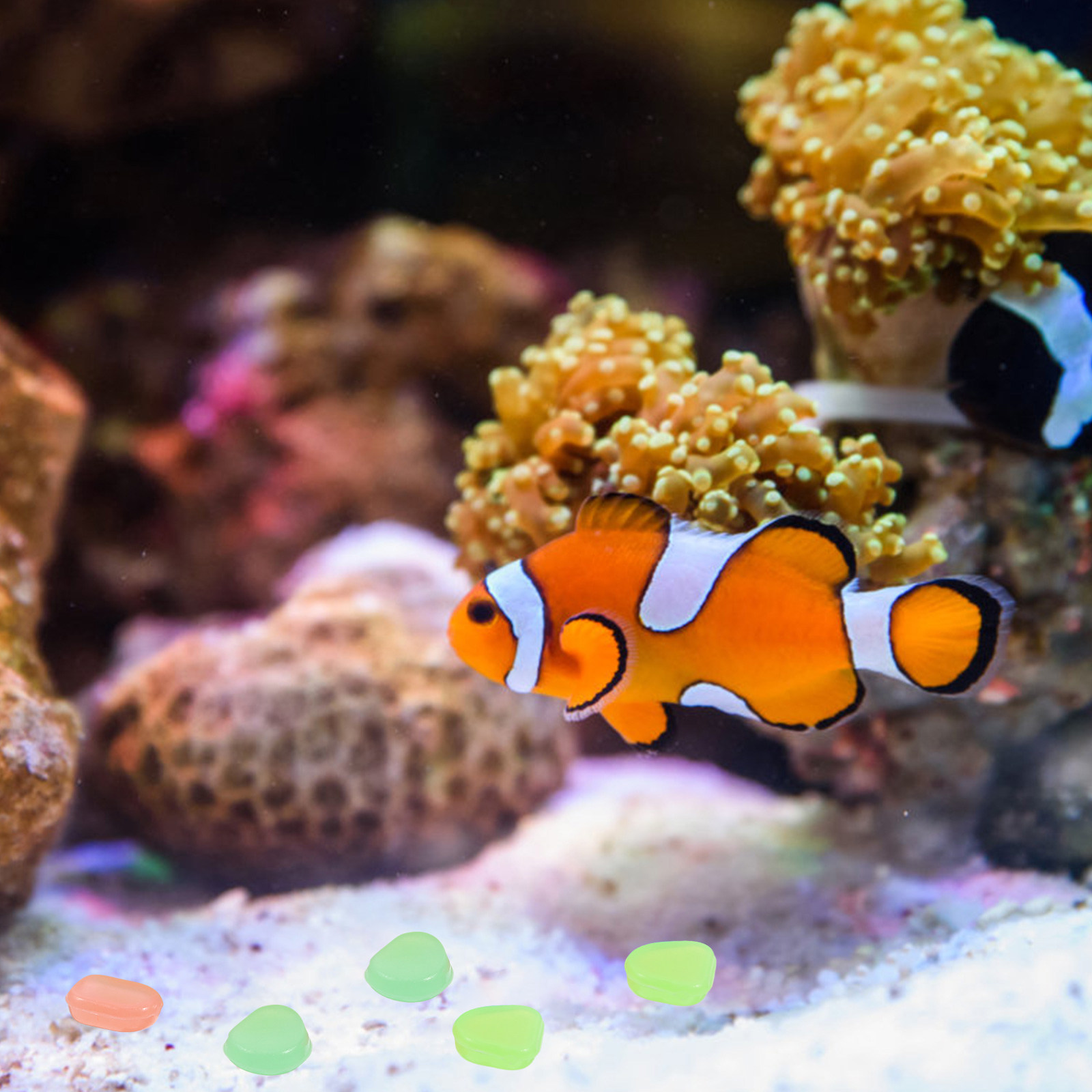 400 قطعة من الحصى المضيء الليل - مراجعة Aquarium Fish That Glow In The Dark وسعره