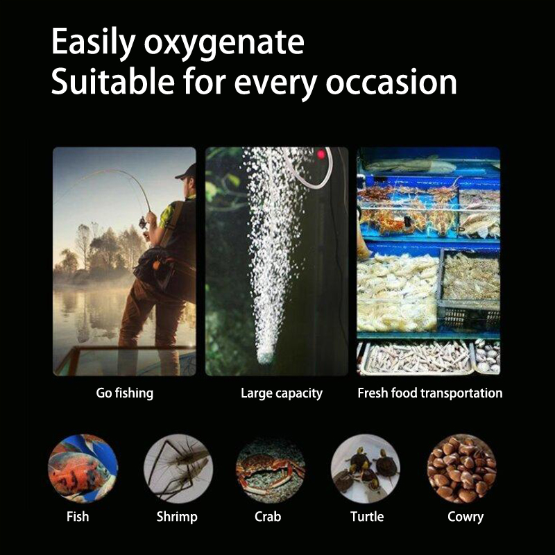 طقم مضخة هواء حوض السمك الصغير - مراجعة Aquarium Fish Small وسعره