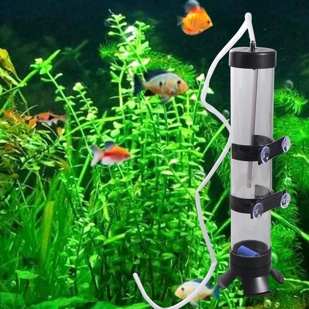 حاضنة بيض الأرتيميا البلاستيكي - مراجعة Aquarium Fish Eggs وسعره