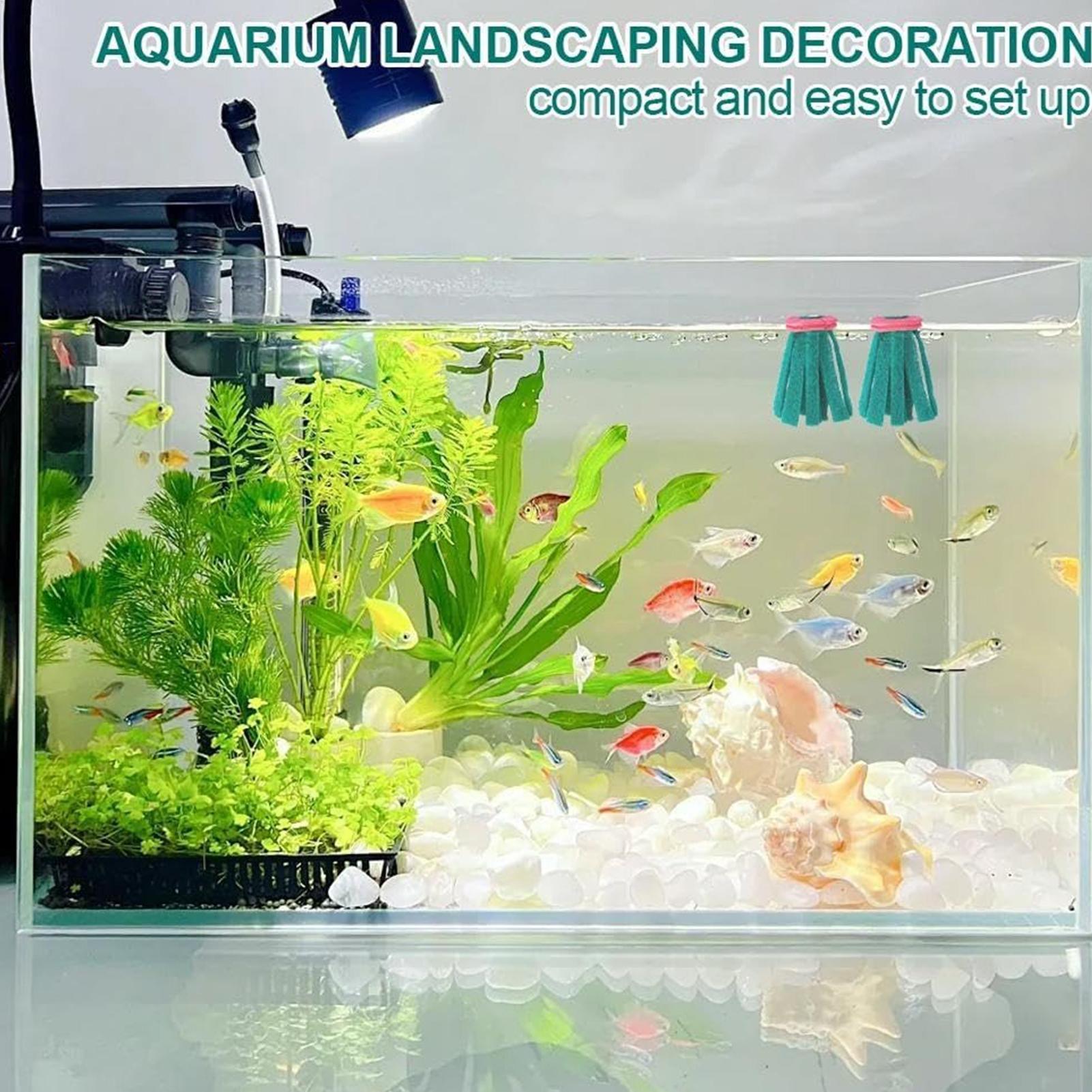 10 قطع من ممسحة تفريخ الأسماك  - مراجعة Aquarium Fish Eggs وسعره