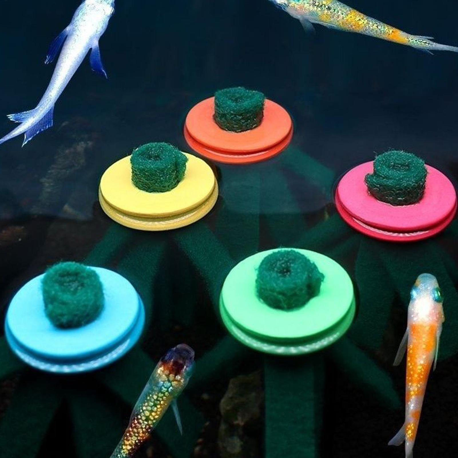 10 قطع من ممسحة تفريخ الأسماك  - مراجعة Aquarium Fish Eggs وسعره