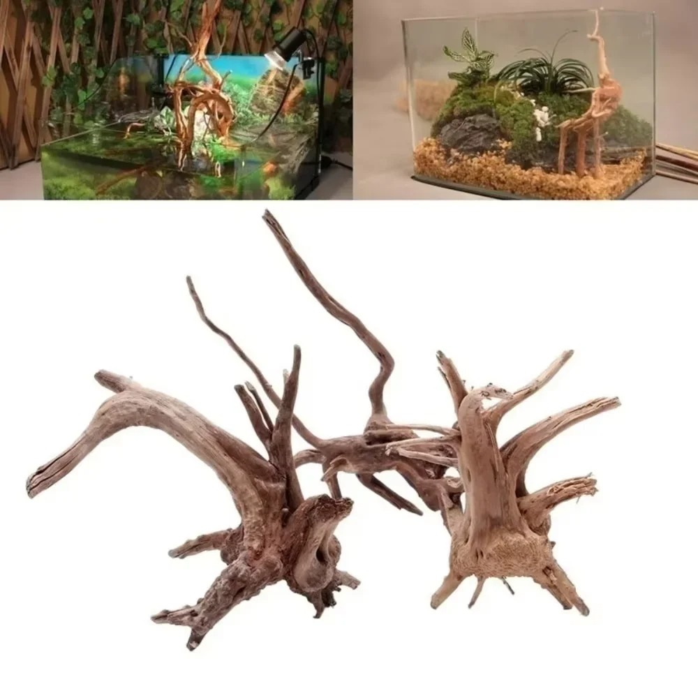 ديكور حوض السمك من الخشب الطبي - مراجعة Aquarium Fish Accessories وسعره