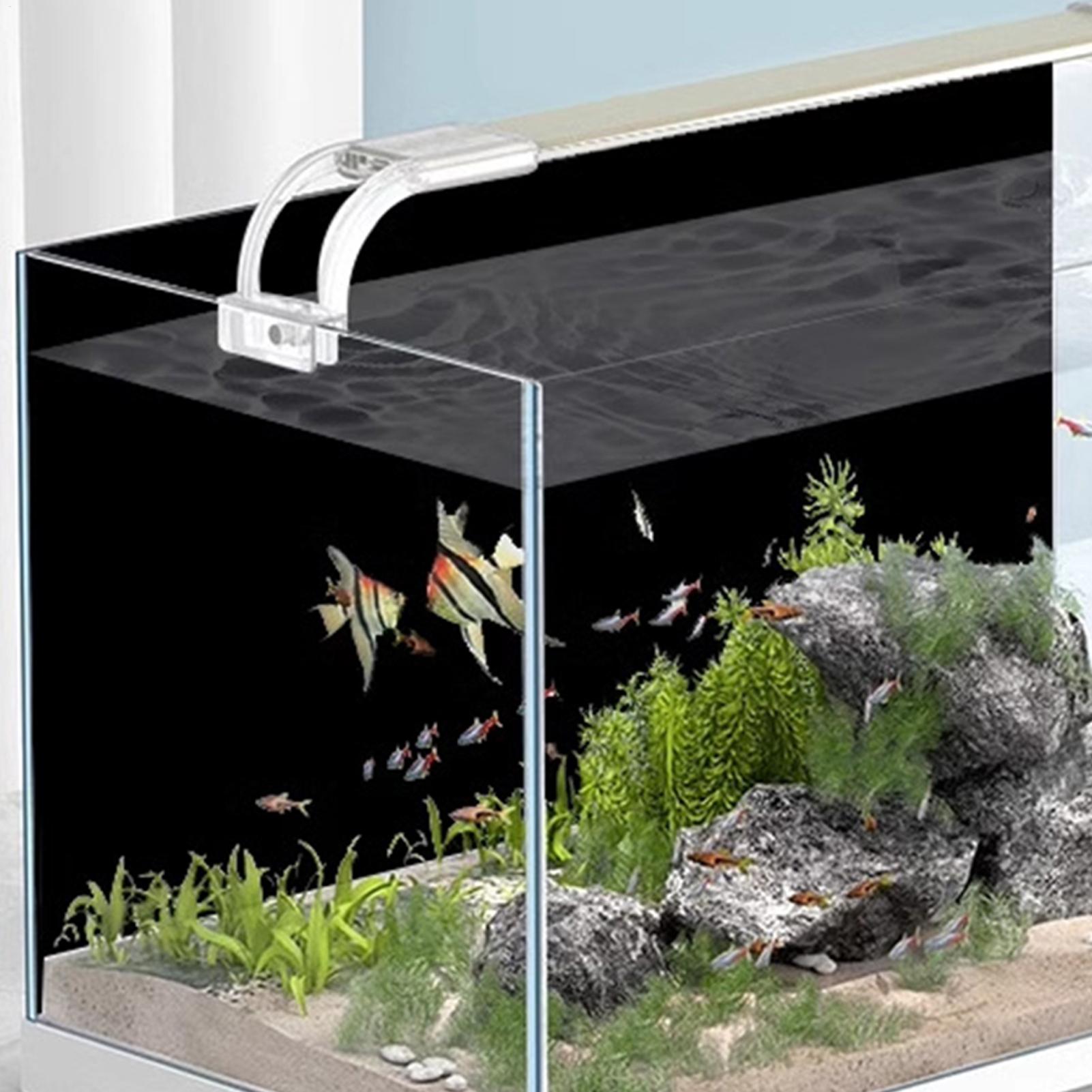 ملصق خلفية حوض السمك، فيلم لاص - مراجعة Aquarium Fish Black وسعره