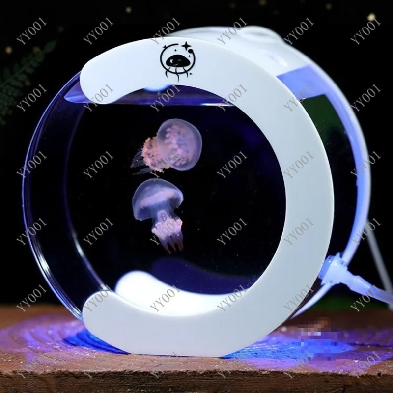 حوض سمك قنديل البحر الدوار الم - مراجعة Aquarium Fish Small وسعره