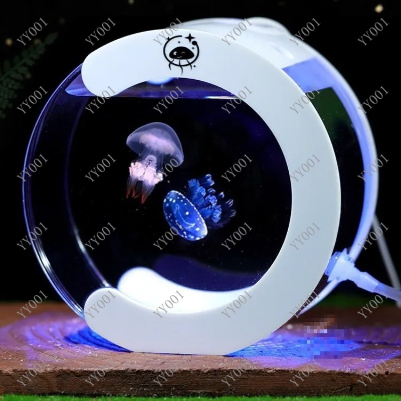 حوض سمك قنديل البحر الدوار الم - مراجعة Aquarium Fish Small وسعره