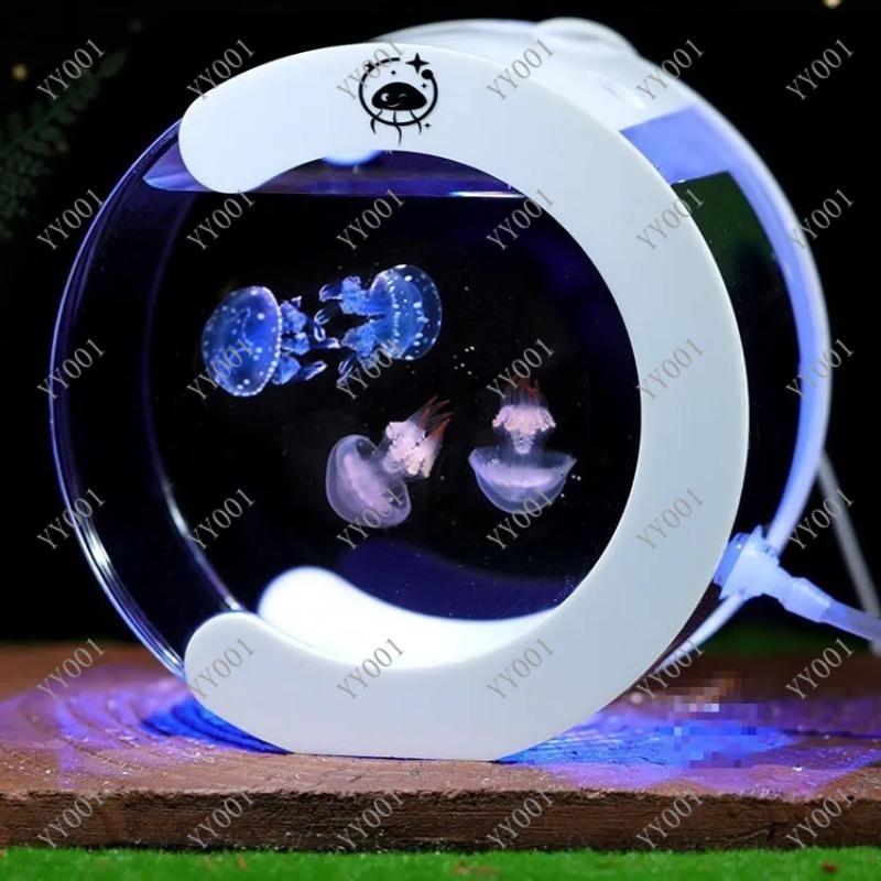 حوض سمك قنديل البحر الدوار الم - مراجعة Aquarium Fish Small وسعره
