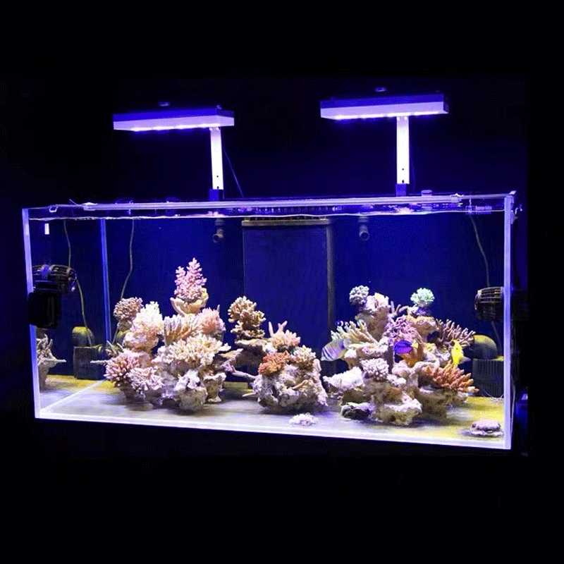 إضاءة مائية AI Hydra 32HD/64HD - مراجعة Aquarium Fish Black وسعره