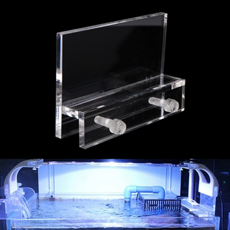 حامل مصباح LED شفاف من الأكريل - مراجعة Aquarium Fish Real وسعره