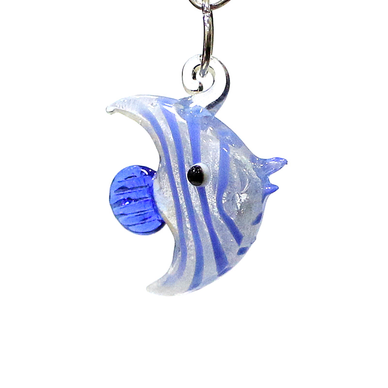 قطعتان من أسماك البحر الجميلة  - مراجعة Aquarium Fish Real وسعره