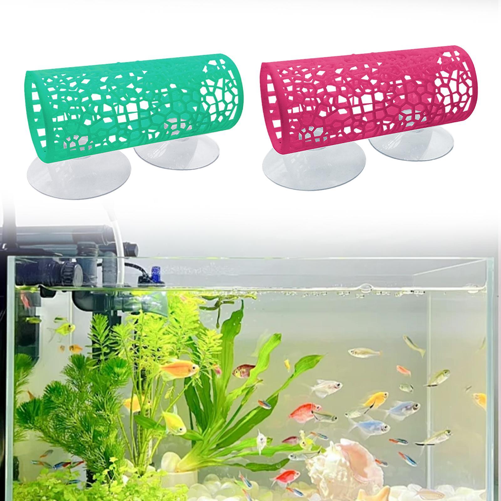 نفق بيتا - مكان للاختباء، لعبة - مراجعة Aquarium Fisch وسعره
