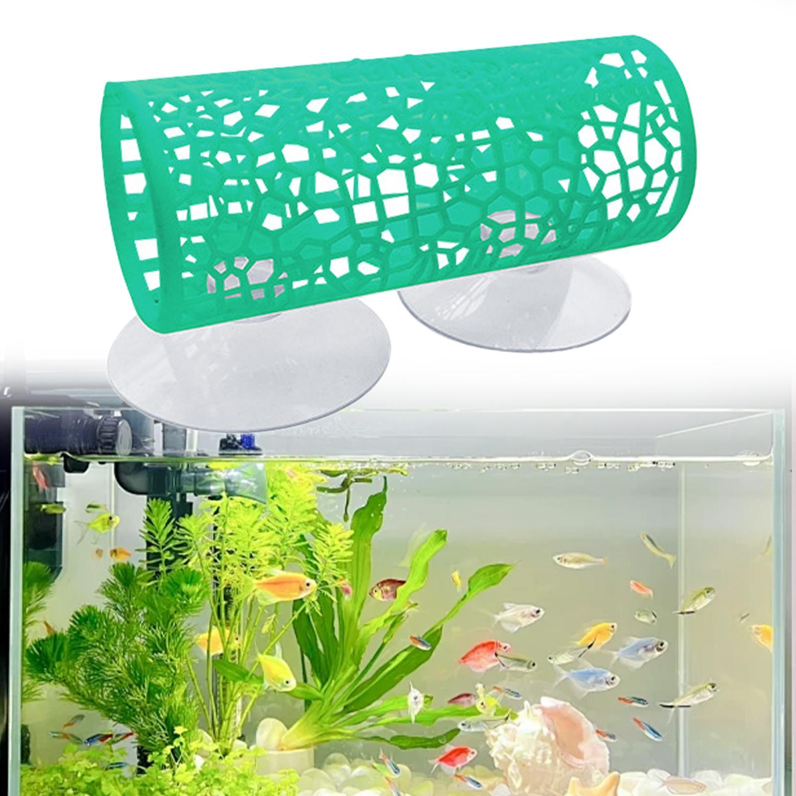 نفق بيتا - مكان للاختباء، لعبة - مراجعة Aquarium Fisch وسعره