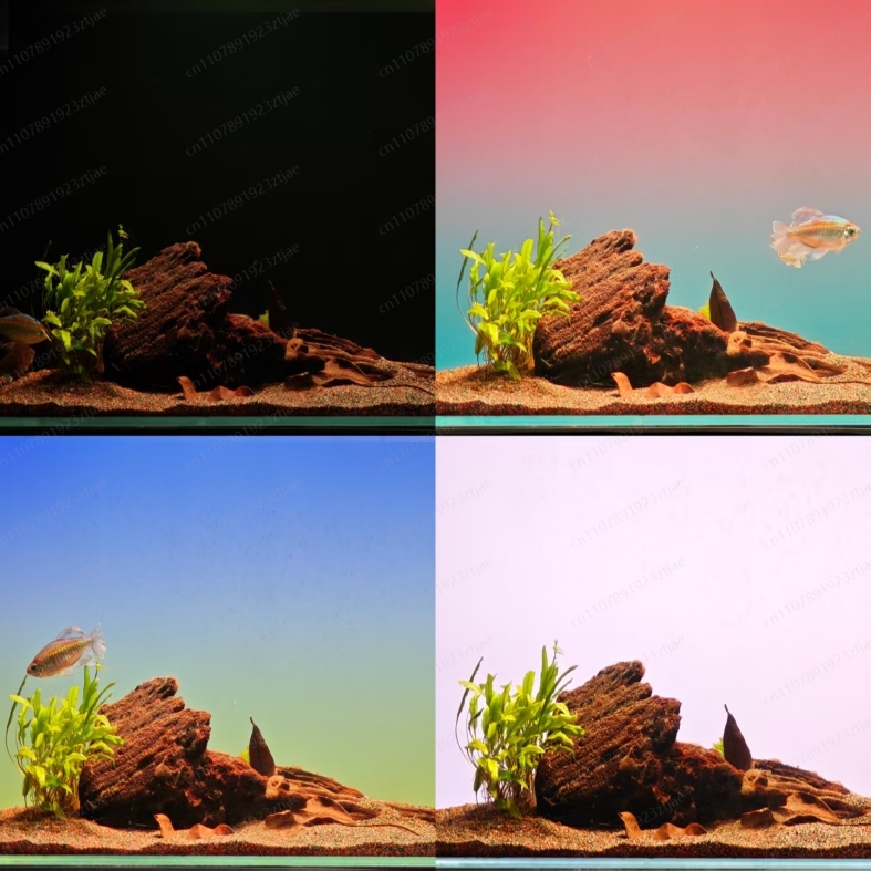 لوحة إضاءة خلفية للأحواض السمك - مراجعة Aquarium Fish Black وسعره