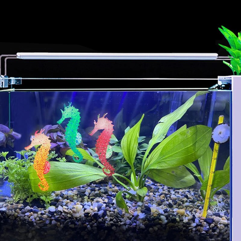 ديكورات حوض السمك Aquascape مح - مراجعة Aquarium Fish That Glow In The Dark وسعره