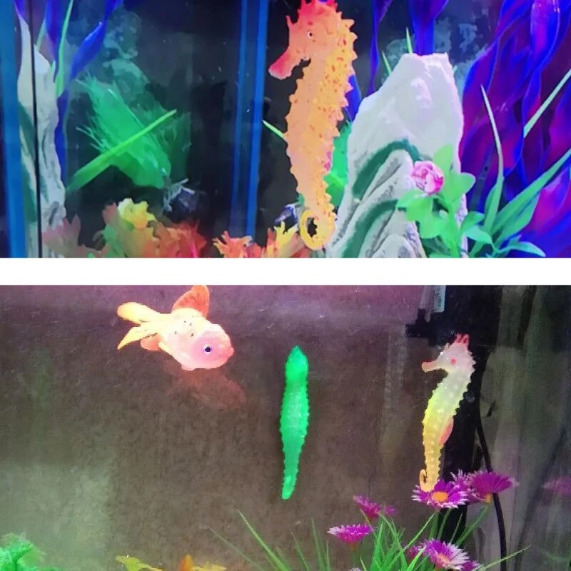 ديكورات حوض السمك Aquascape مح - مراجعة Aquarium Fish That Glow In The Dark وسعره