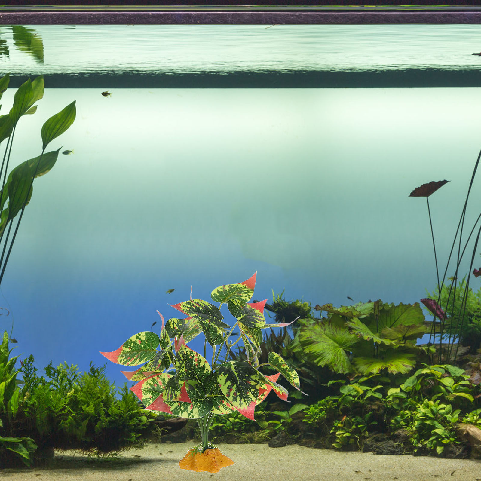 نباتات اصطناعية واقعية من مادة - مراجعة Aquarium Fish Dragon وسعره