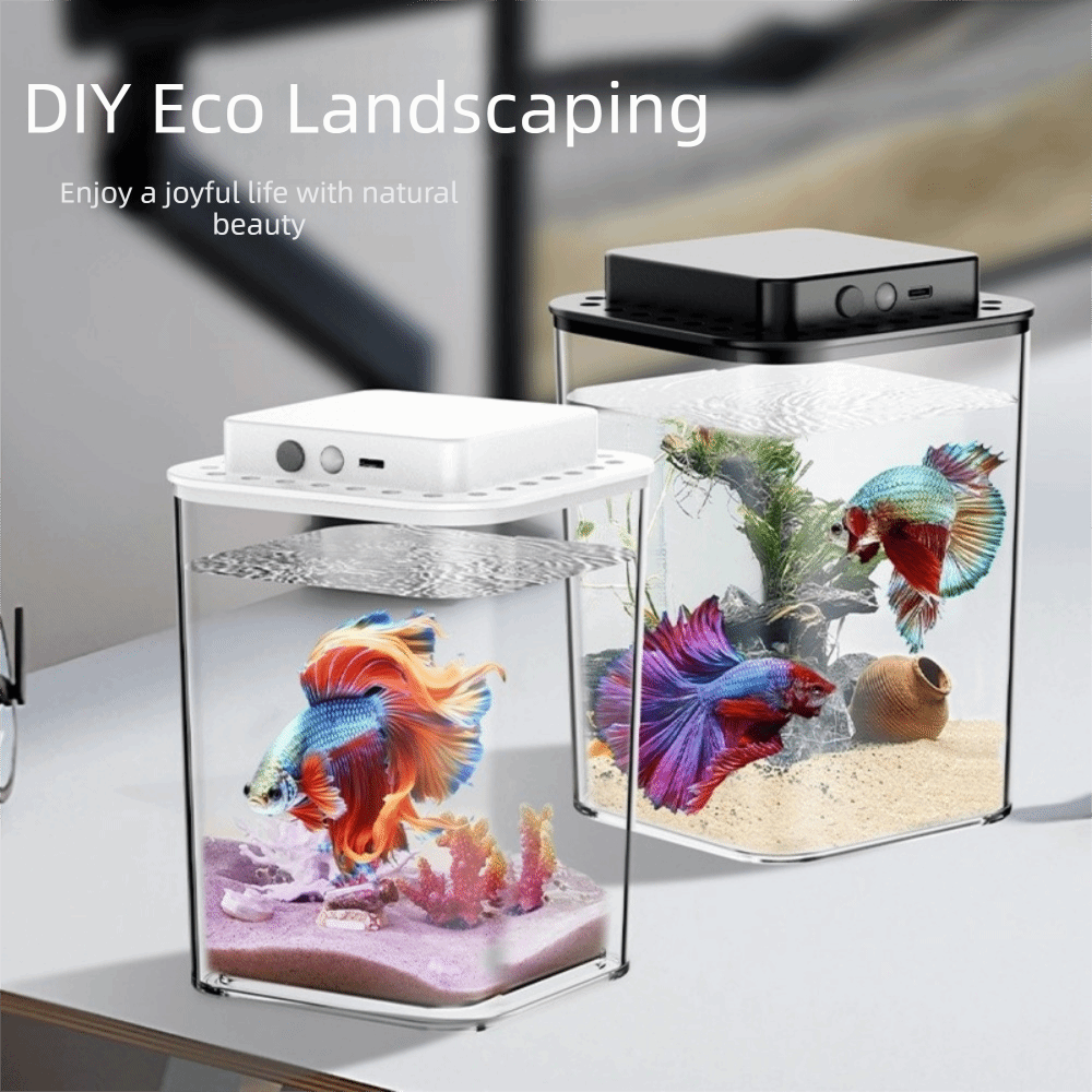 حوض سمك بيتا شفاف مع إضاءة LED - مراجعة Live Fish Aquarium وسعره