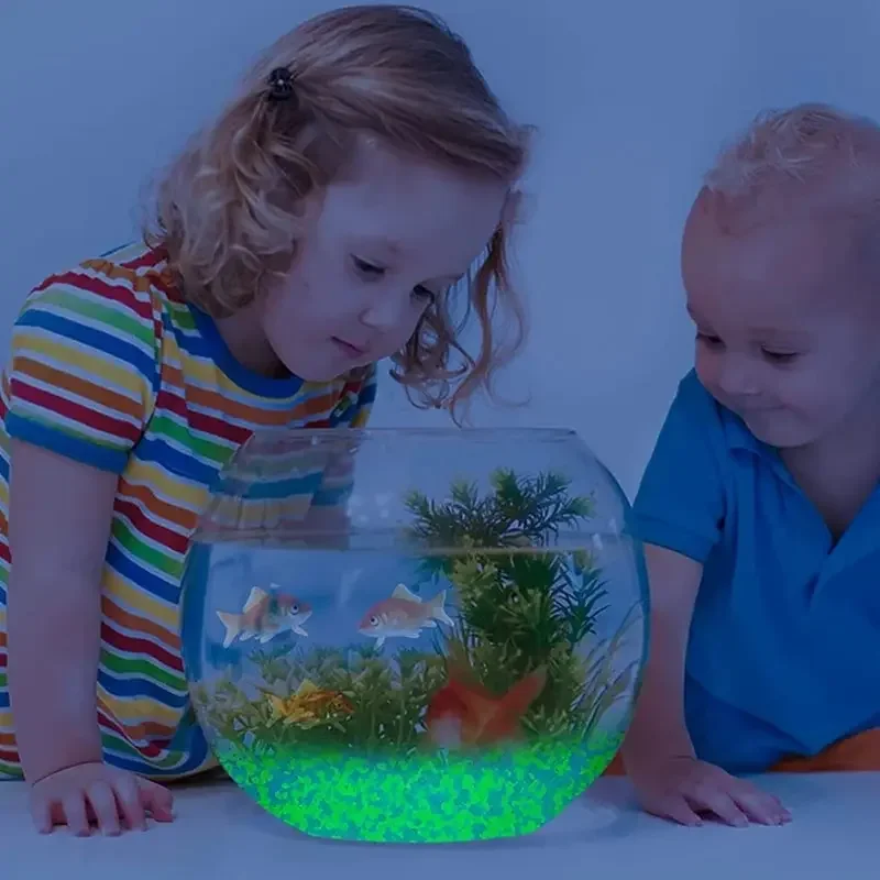1000 قطعة 3-5 مللي متر مضيئة ا - مراجعة Aquarium Fish Real وسعره