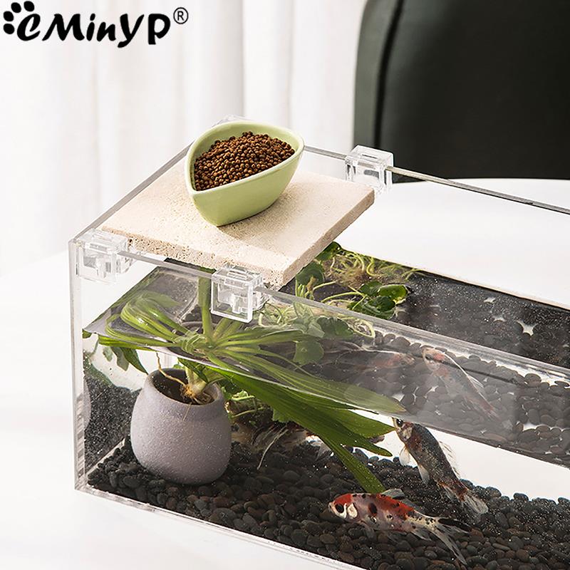 4 قطعة خزان الأسماك مقاطع الاك - مراجعة Aquarium Fish Real وسعره