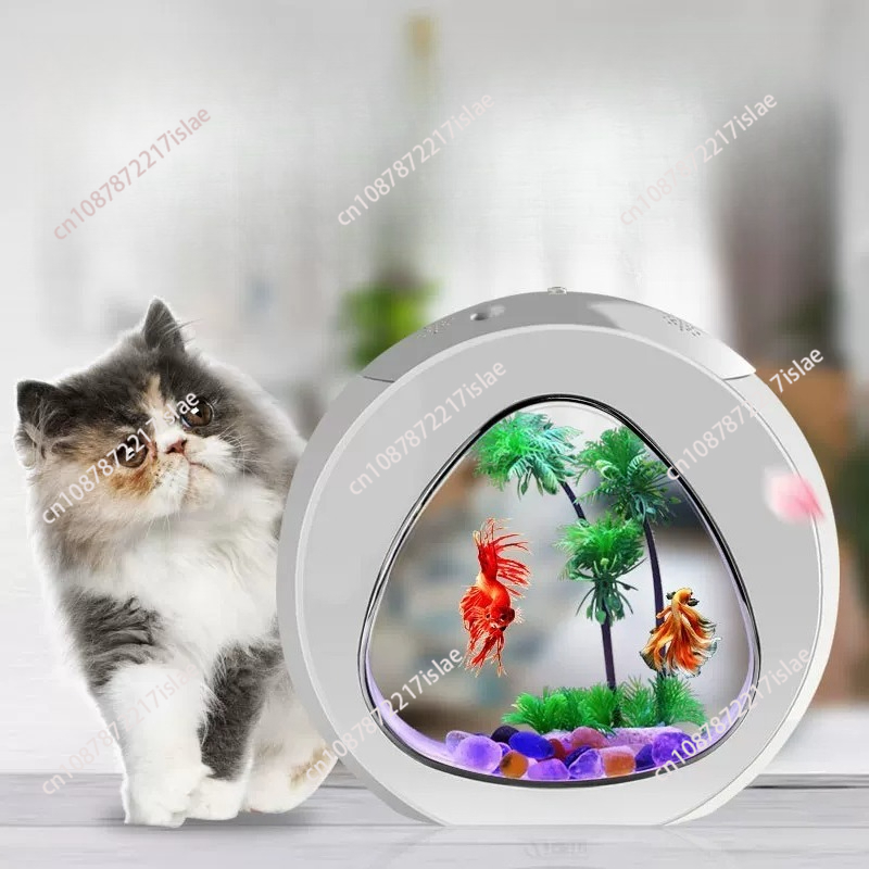 حوض سمك أكريليك صغير للمكتب، ح - مراجعة Aquarium Fish Small وسعره