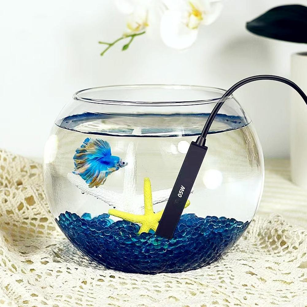 سخان حوض أسماك صغير يعمل بمنفذ - مراجعة Aquarium Fish Small وسعره
