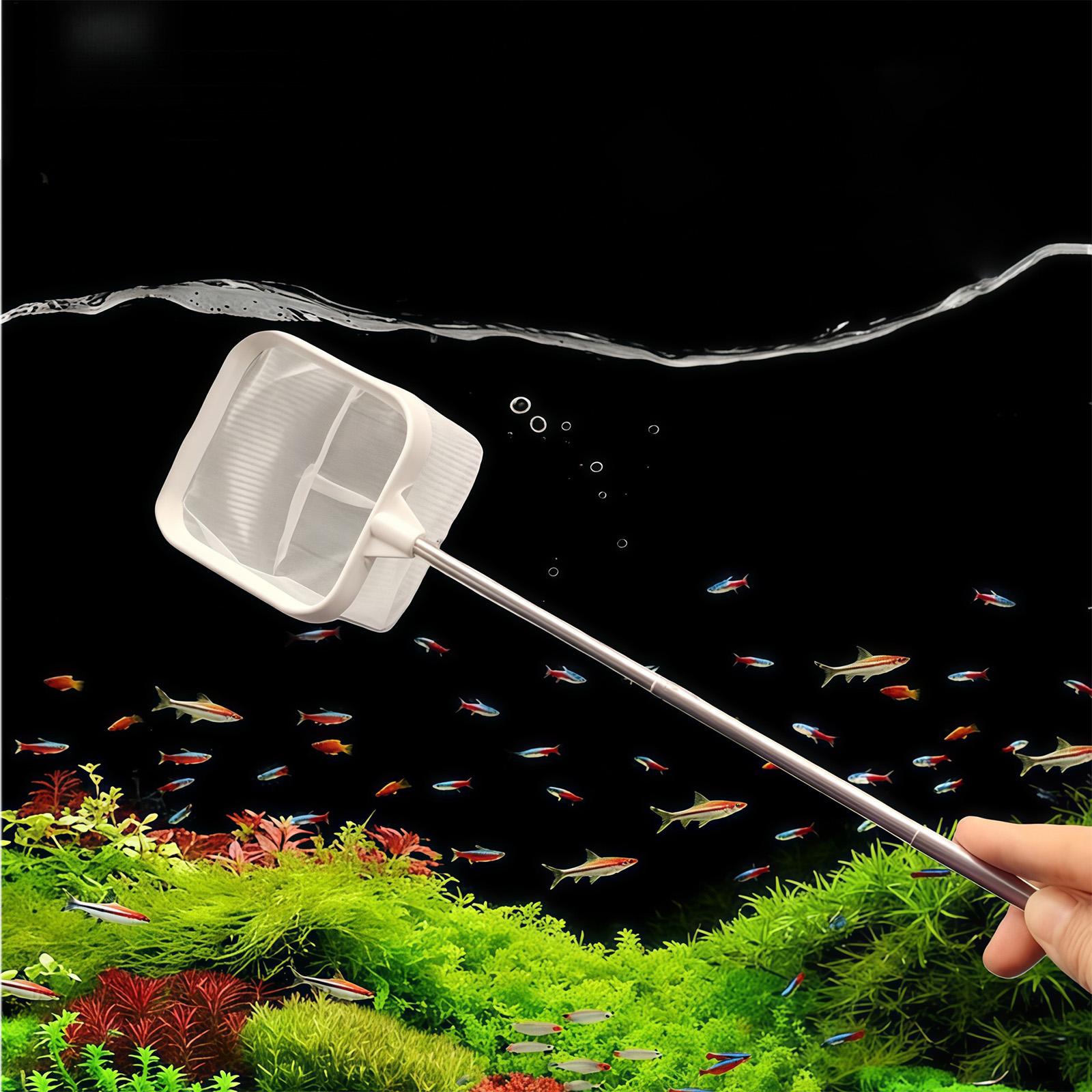 أداة تنظيف مياه خارجية بمقبض ط - مراجعة Aquarium Fish Trap وسعره
