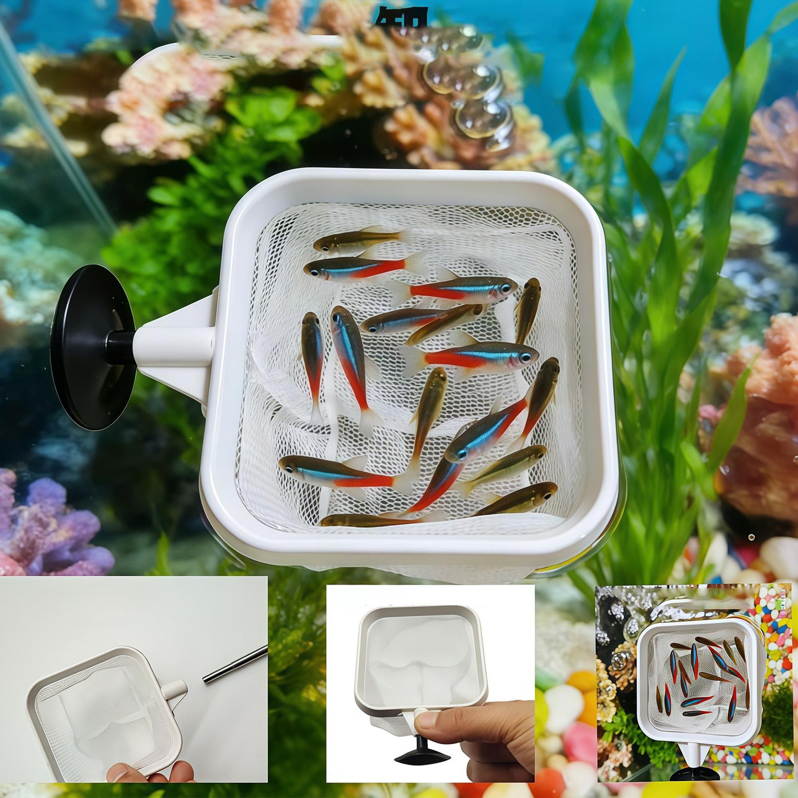 أداة تنظيف مياه خارجية بمقبض ط - مراجعة Aquarium Fish Trap وسعره