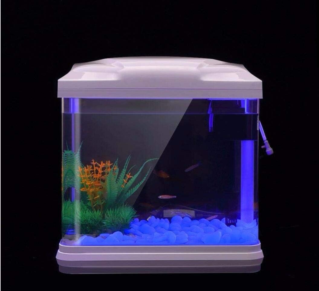 حوض السمك الصخور توهج الحصى ال - مراجعة Aquarium Fish Land وسعره