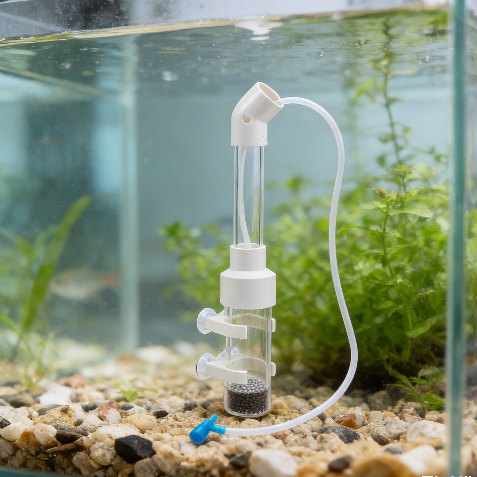 مجموعتان من أجهزة تفريخ بيض ال - مراجعة Aquarium Fish Eggs وسعره