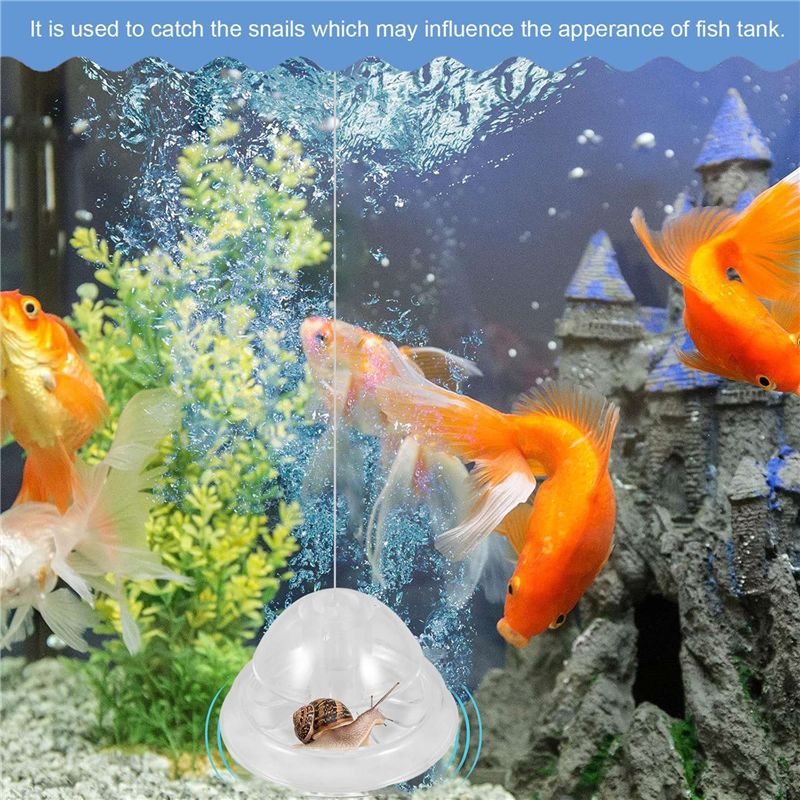 ABXF-مصيدة الحلزون لحوض السمك، - مراجعة Aquarium Fish Trap وسعره