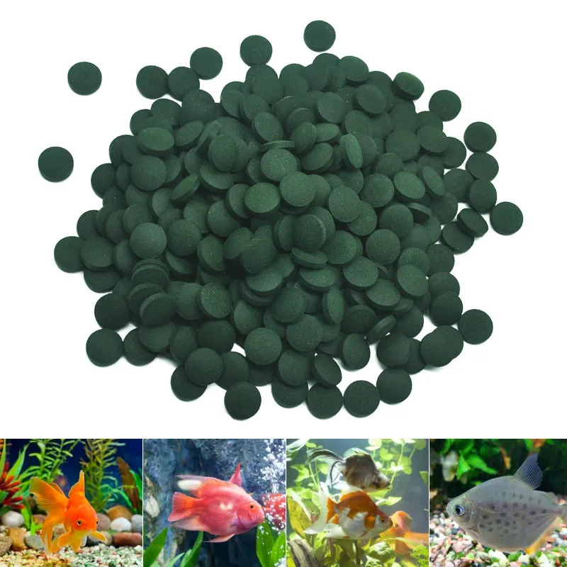 50-300 قطعة أقراص سبيرولينا عا - مراجعة Aquarium Fish Eggs وسعره