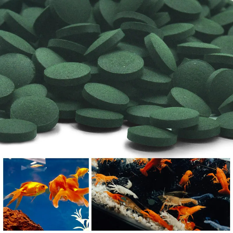 50-300 قطعة أقراص سبيرولينا عا - مراجعة Aquarium Fish Eggs وسعره